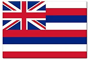 Hawaii State Flag Fridge Magnet