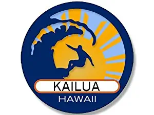 MAGNET 4x4 inch Round Surfer On Wave Kailua Hawaii Sticker (Surfing surf Beach) Magnetic vinyl bumper sticker sticks to any metal fridge, car, signs