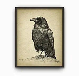 MS Fun Vintage Raven Canvas Poster for Bedroom Decor 8 x 10 Inches,No Frame