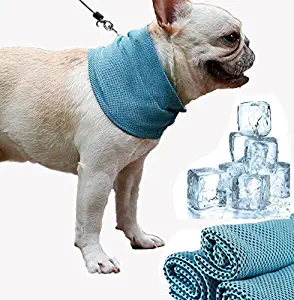 Bonaweite Dog Chill Out Ice Bandana, Instant Pets Colling Collar Scarf for Bulldog Puppy Cats in Summer
