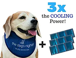 The Dog's Right! Dog Cooling Collar Bandana (Size 14 to 16 inches, Adjustable for Medium Sized Dogs)