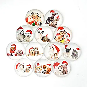 Christmas Cat Dog Refrigerator Magnet Party Set of 12 Pack 3D Round Face For Silver Fridge Office Dry Erase Board Stainless Steel Door Freezer Whiteboard Cabinet Magnetic Fun for Adult Girl Boy Kid