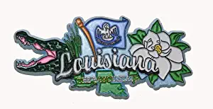 Louisiana State Elements Fridge Collectible Souvenir Magnet