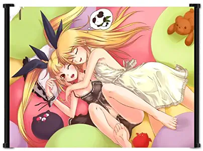 Blazblue Game Rachel and Noel Fabric Wall Scroll Poster (22"x16") Inches
