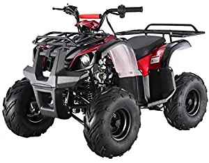 TAO TAO Brand new ATA-125D Fully Automatic UTILITY MODEL with REVERSE- RED