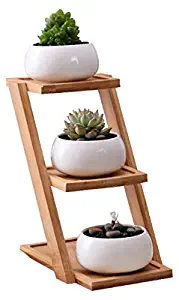 Youfui White Ceramic Succulent Plant Pot, Planter for Succulent Plants, Small Cactus and Herbs with Bamboo Tray (Round White with Stand)