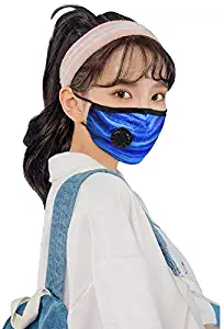 Blue N95 Anti Air Dust and Smoke Pollution Mask Washable PM2.5 Masks