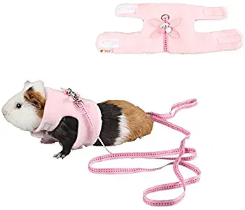 Stock Show Small Animals Outdoor Walking Vest Harness with Cute Butterfly Decor and Lead Leash Set Rabbit Hedgehog Ferret Guinea Pigs Piggies Squirrel Kitten Puppy Comfort Clothes Accessory
