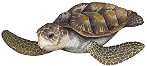 Create-A-Mural : Sea Turtle Wall Decal ~Realistic Undersea Animal for Kids Room Decor