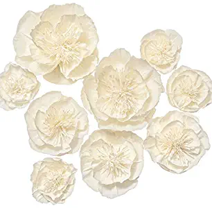 Ling's moment Paper Flower Decorations Set of 9(8''-4'' Assorted), Handcrafted Artificial Crepe Paper Peony for Wall Nursery Wedding Backdrop Bridal Shower Centerpiece Monogram 15th Birthday(Cream)