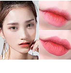 Women Double Color Lipstick Waterproof Long-Lasting Lip Gloss Moisturzing Nourishing Lipsticks Balm Cosmetics,04