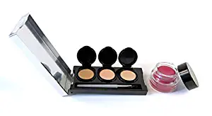 Tattoo Cover Up Makeup, Bruise Concealer, Waterproof Full Coverage, 4 colors + brush, by Dermaflage, 12.9g/.46oz (Light)