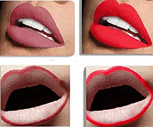 QIN OKC 2 in 1 Matte Lipstick Lip Liner Set - High Pigment - Long Lasting - Waterproof - Nude Red - 2 SETS (Orchid, Passion)