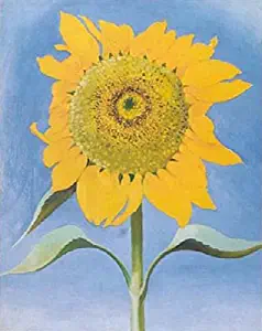 Sunflower New Mexico 1935 Georgia O'Keeffe Flower Floral Nature Cool Poster (Choose Size of Print)